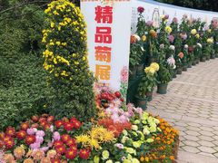 -南山植物园