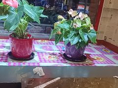 -粗粮人家·东北菜(洋桥店)