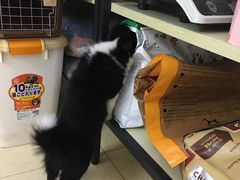 -宠屋宠物美容店