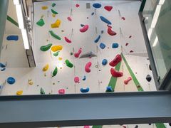 -绿壁虎攀岩基地(Tcar店)
