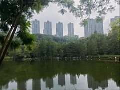 -重庆彩云湖湿地公园
