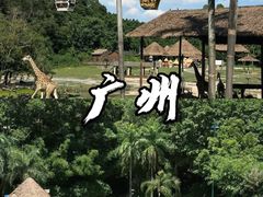 -广州长隆野生动物世界