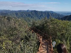 -大岭沟猕猴桃谷风景区