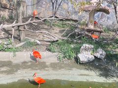 -上海野生动物园