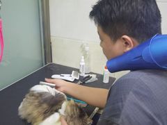 -皮特动物医院(24小时店)