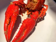 -不炭白烧烤(成都首店)