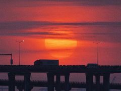 -宝安西湾红树林湿地公园