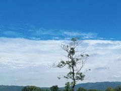 -良渚古城遗址公园