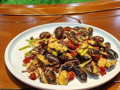 -韩记海鲜饺子(隆仁世家店)