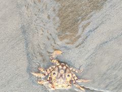 -珠海金沙滩