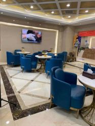 -碧莲盛·不剃发植发