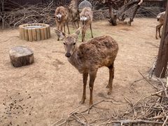 -郑州银基国际旅游度假区