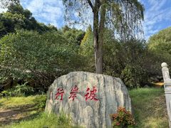 -庐山风景名胜区-东林大佛