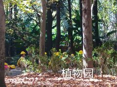 -昆明植物园