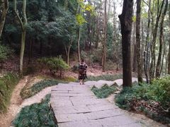 -灵栖洞天
