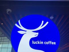 -瑞幸咖啡(深圳北高铁站内部店-B12检票口二楼)
