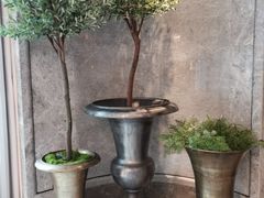 -花城苑广府菜(侨鑫店)