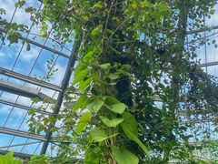 -华南国家植物园-售票处