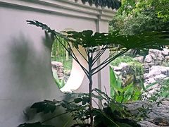 -墨池公园