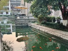 -苏州吴宫泛太平洋酒店
