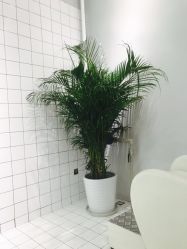 -P.STYLE派斯造型