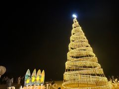 -海南清水湾莱佛士酒店