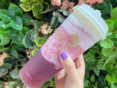 -喜茶(南京仙林金鹰店)