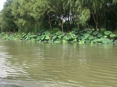 -扬州瘦西湖船宴