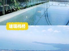 -亚龙湾热带天堂森林公园