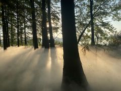 -东湖落雁景区