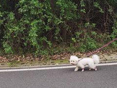 -宝界山林公园