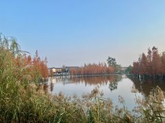 -白鹭湾湿地公园