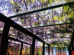 -龙口南山旅游景区