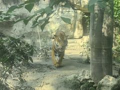 -成都动物园