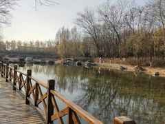-云岗森林公园