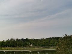 -东郊湿地公园