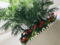 -LANN I 蘭 SPA(陆家嘴中心店)