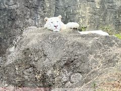 -杭州野生动物世界