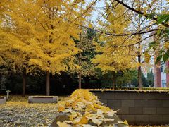 -中国政法大学(昌平校区)