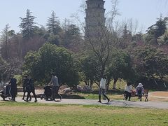 -祥源·阜阳生态乐园