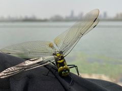 -东湖生态旅游风景区
