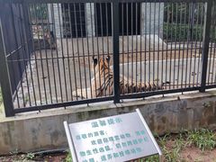 -广东茂名森林公园