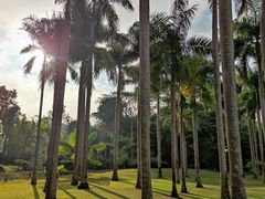-中国科学院西双版纳热带植物园