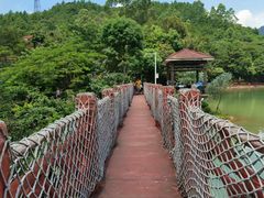 -广州白江湖森林公园