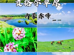 -贡格尔草原
