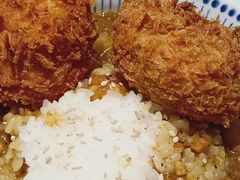 -山杏yama-katsu·吉列炸物