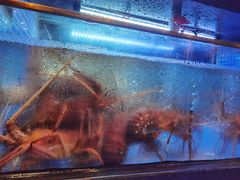 -丰鲤楼•闽南茶楼(仟禧汇店)
