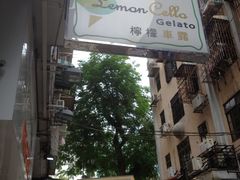 IMG_1041-柠檬车露(卖草地店)