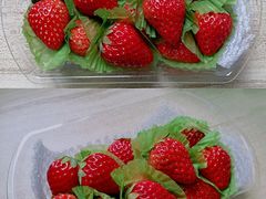 -百果园(板桥路蓝水湾店)