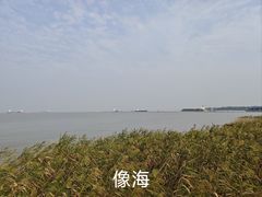 -上海吴淞炮台湾国家湿地公园